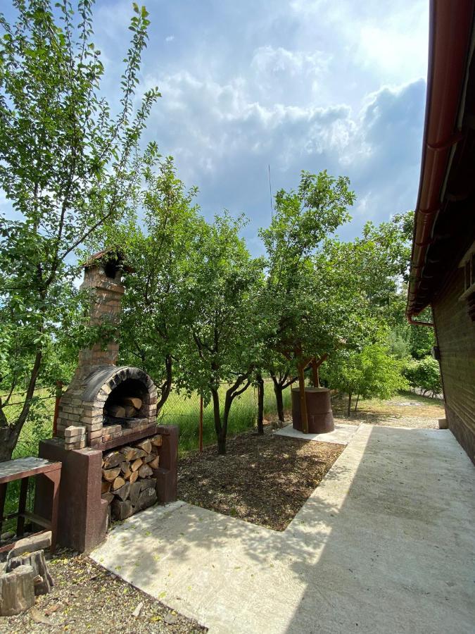 Ab'S Rustic Cabin Dejani Екстериор снимка