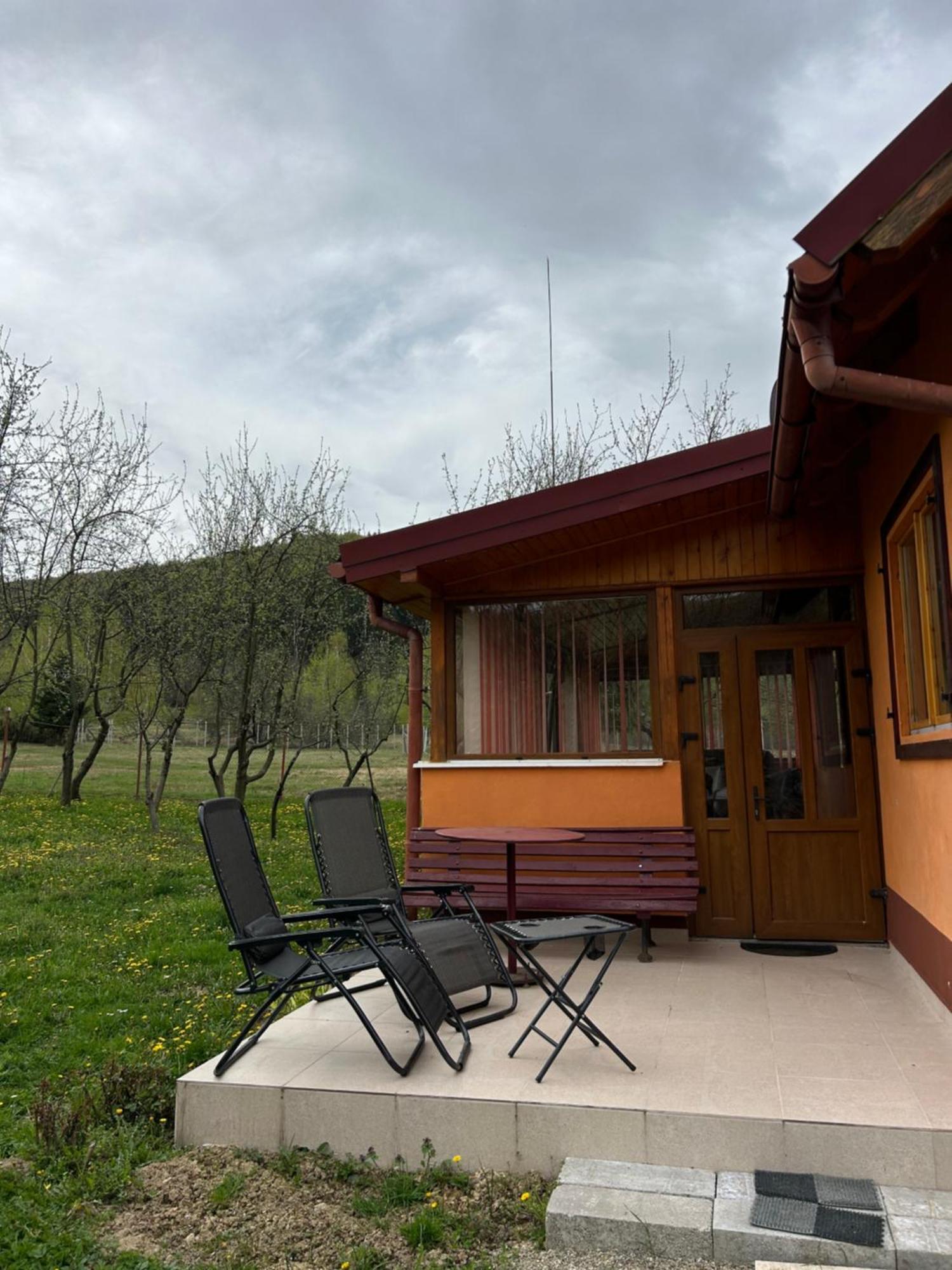 Ab'S Rustic Cabin Dejani Екстериор снимка
